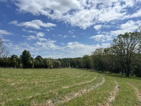 Land with Year-Round Spring