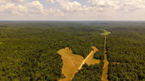 Missouri Ozarks Legacy Property