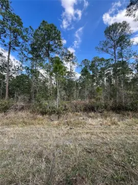 Land in Sebring, Florida