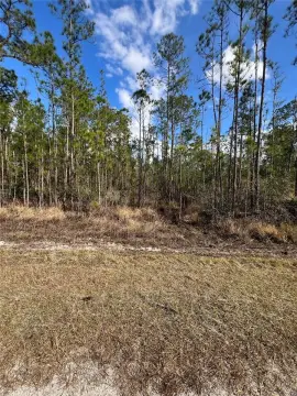 Land Parcel in Sebring, FL