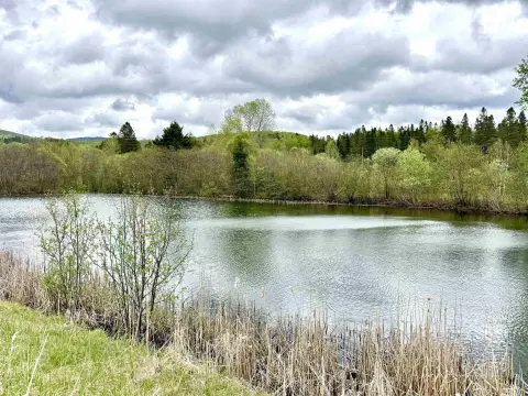 Land with Two Ponds