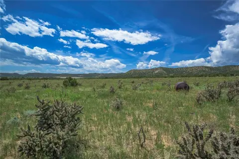 Agricultural Land with Interstate Frontage