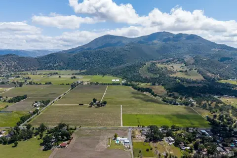 Kelseyville Vineyard Opportunity