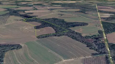 Cairo, GA Recreational Acreage