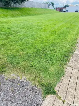 Residential Corner Lot in Tell