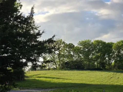 80 Acres Pasture Land Clinton