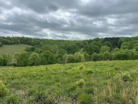 373 Acres Hunting and Recreational Land