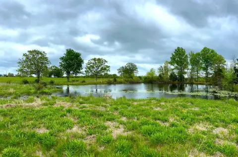 73.65 Acres of Mixed-Use Land