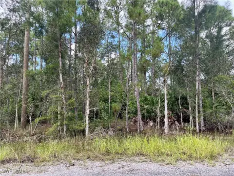 Lehigh Acres Land Opportunity