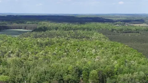 Hardwood Timber Tract Land