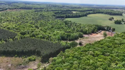 Hardwood Hunting Tract with Homesite