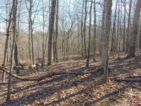 Agricultural Land Parcel with Soil Work