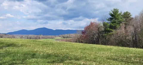 Zoned Agricultural Land Parcel
