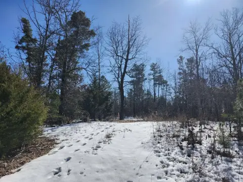 Wooded Land Near Route 60