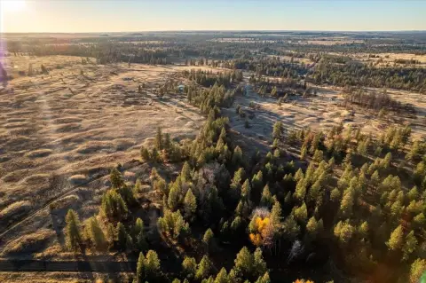 Secluded 10-Acre Treed Parcel