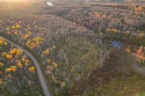Wooded Land Parcel