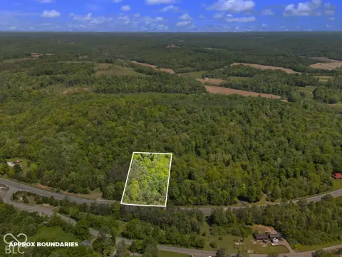 Wooded Recreational Land