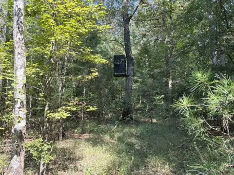 Hunting Land with Timber