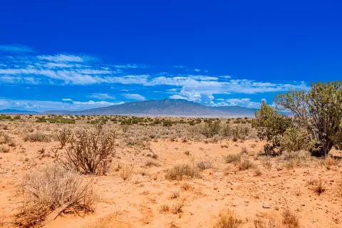 Half-Acre Land Parcel