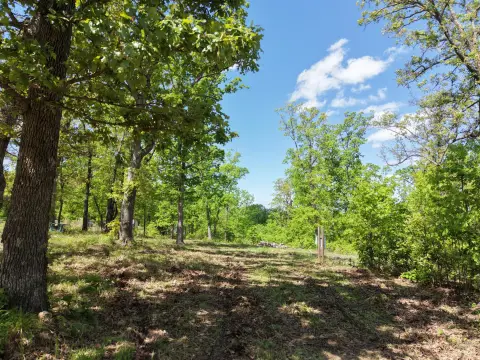 Osceola Land with RV Sites