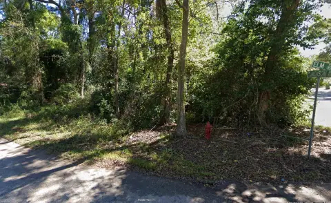 Residential Lot in Johnsonville, SC