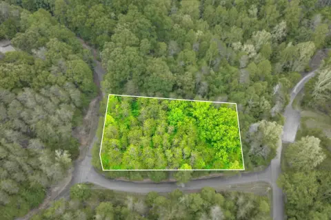 Moneta, VA Corner Lot