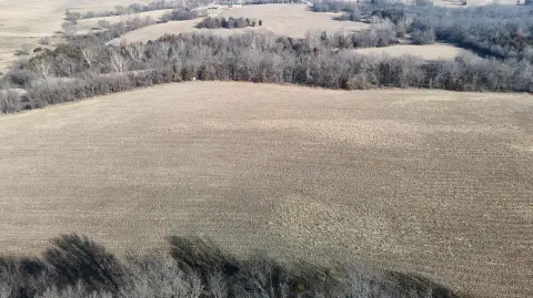 40 Acres of Fertile Land