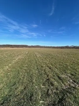 92 Acres of Crop Ground