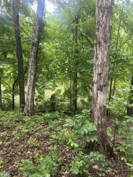 Dockable Waterfront Residential Lots