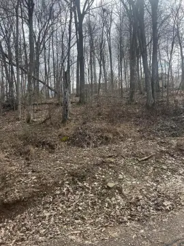 Residential Waterfront Land Lot