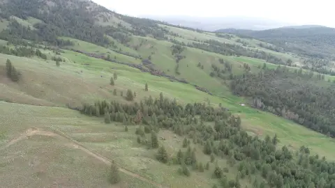 Agricultural Land with Year-Round Springs