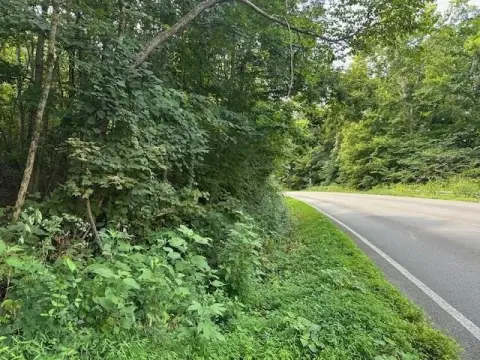 Usable Land with Timber