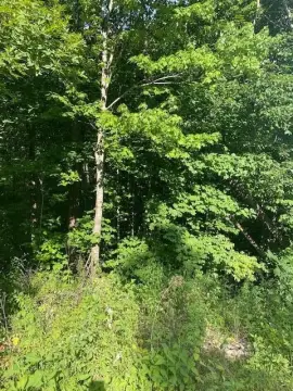 Usable Land with Development Potential