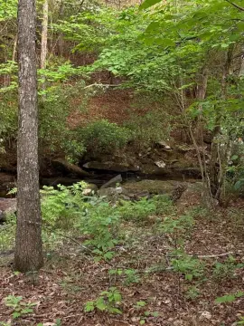 Crossville, TN Land For Sale