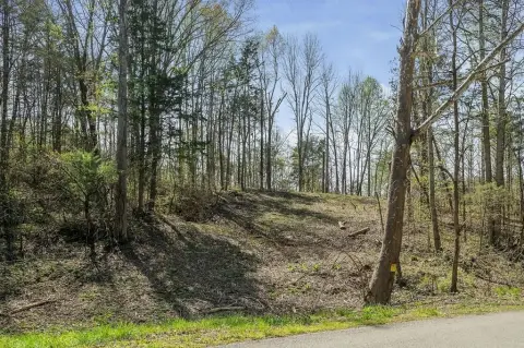 Monroe, TN Wooded Land