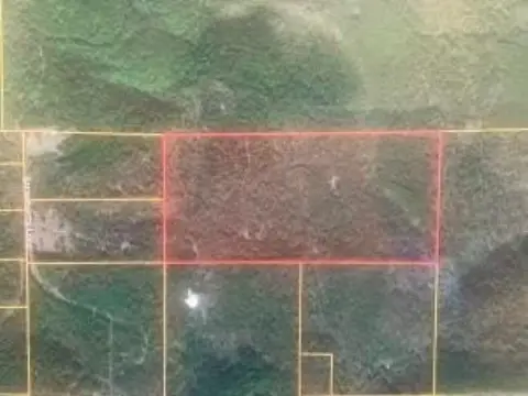 Secluded Timbered Land in Lamar