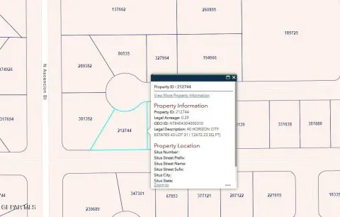 Horizon City Vacant Lot