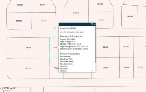 Horizon City Vacant Lot