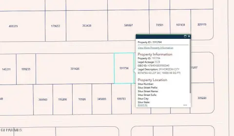 Horizon City Vacant Lot