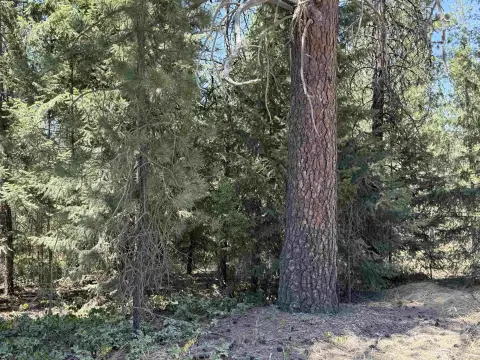 Development-Ready Residential Land Acreage