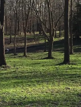 Nixa Land with Historical Significance