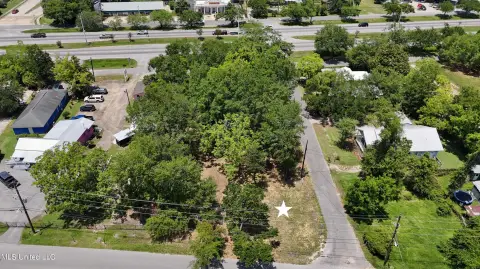 Wooded Flat Commercial Lot