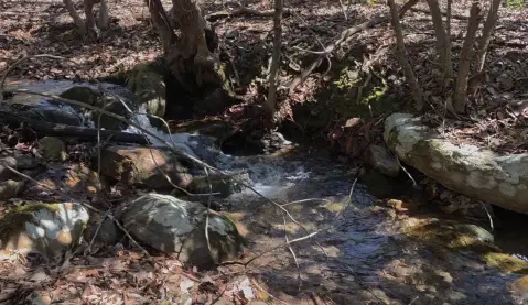 Catawba Land with Road Frontage