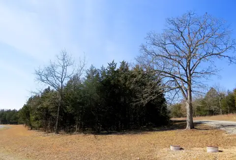 Shell Knob Lake Lot