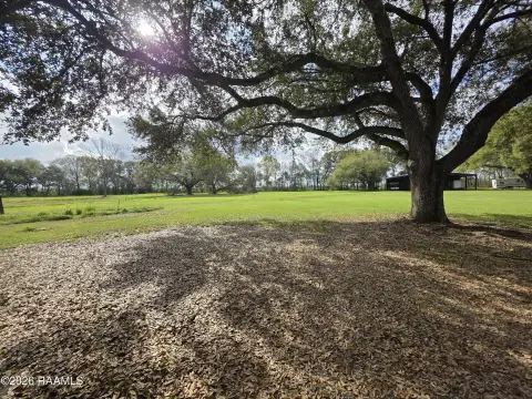 Land in Ville Platte, LA