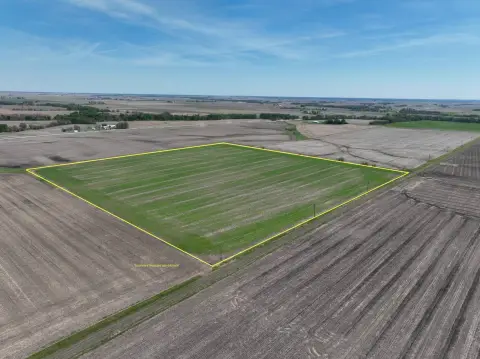 Productive Farmland in Henry County, Iowa