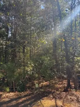 Residential Lot in Callaway Gardens