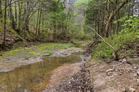 Ozark Recreational Land with Caves