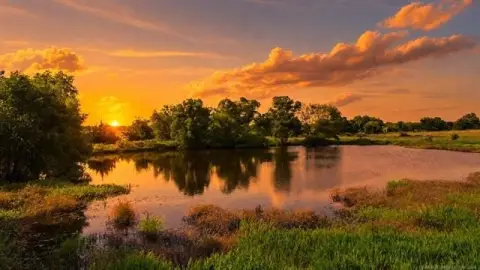Agricultural Land Tract with Pond