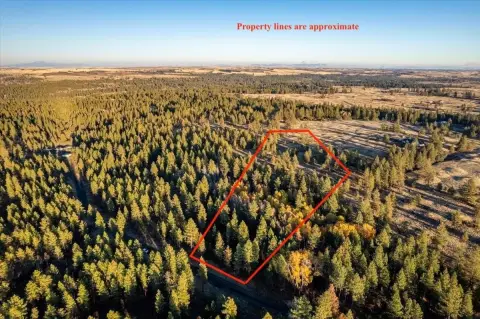 Secluded 10-Acre Treed Parcel